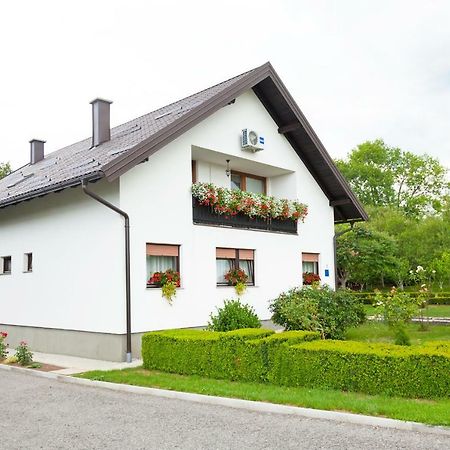 Apartment Lena Gornji Vaganac Exteriér fotografie