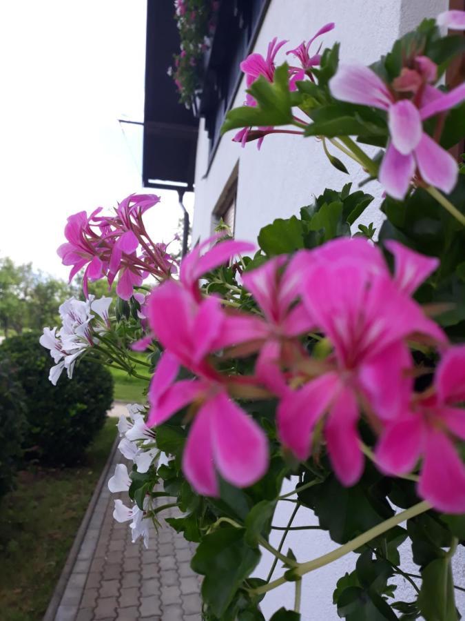 Apartment Lena Gornji Vaganac Exteriér fotografie