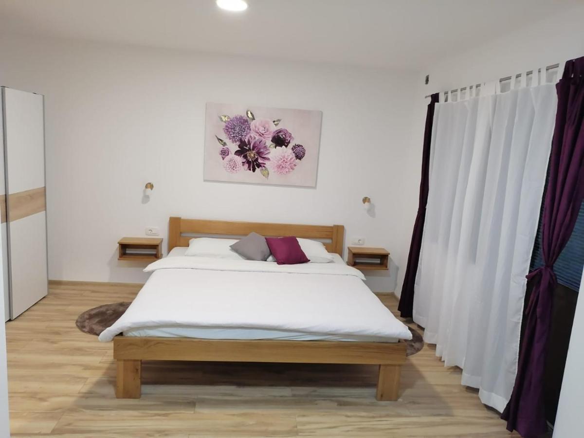 Apartment Lena Gornji Vaganac Exteriér fotografie