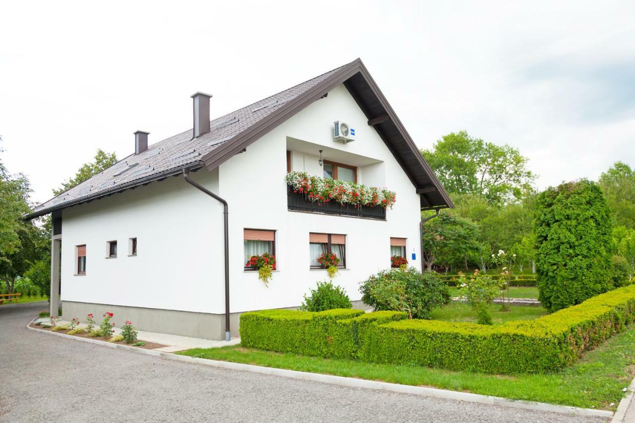 Apartment Lena Gornji Vaganac Exteriér fotografie